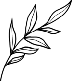 The Atlanta Doulas logo